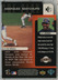 1997-sp-marquee-matchups-mm3-barry-bonds-back-image